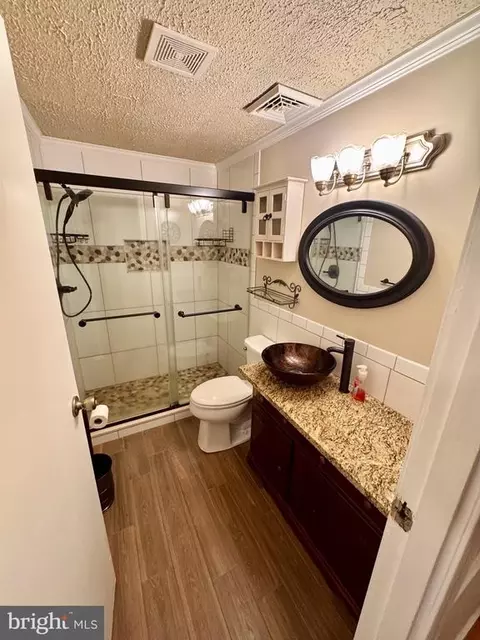 4456 Silver Hill Ct, Sumerduck, VA 22742 photo 52