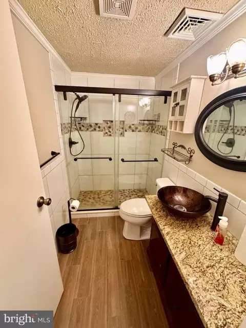 4456 Silver Hill Ct, Sumerduck, VA 22742 photo 51
