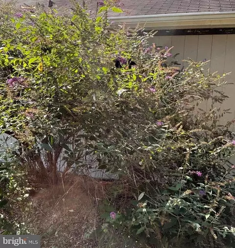 5084 Fairview Ln, Broad Run, VA 20137 photo 34