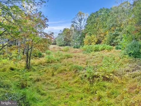 6450 John Barton Payne Rd, Marshall, VA photo 27