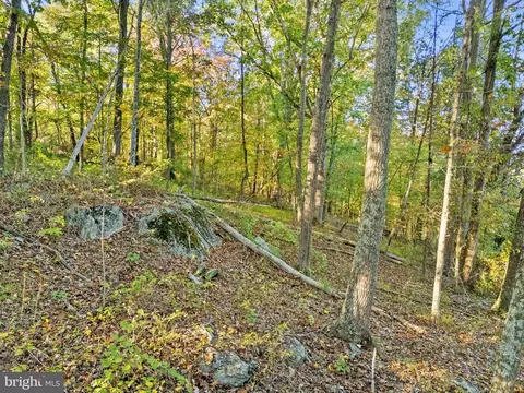 6450 John Barton Payne Rd, Marshall, VA photo 24