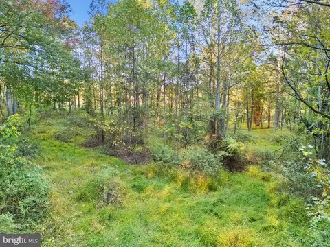 6450 John Barton Payne Rd, Marshall, VA photo 28