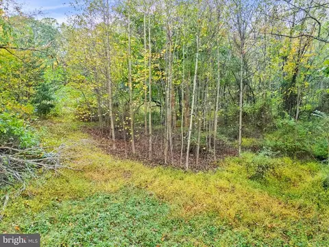 6450 John Barton Payne Rd, Marshall, VA photo 29