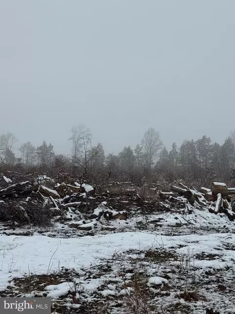 0 Old Mill Rd, Midland, VA