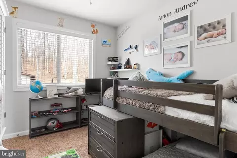 6246 John Barton Payne Rd, Marshall, VA 20115 photo 17