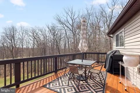 6246 John Barton Payne Rd, Marshall, VA 20115 photo 28