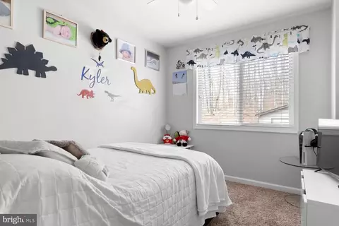 6246 John Barton Payne Rd, Marshall, VA 20115 photo 16