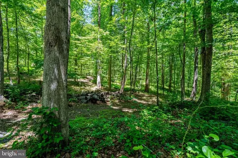 4645 Morgans Bluff Dr, Marshall, VA 20115 photo 46