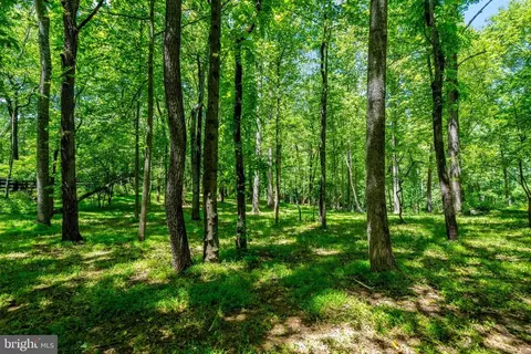 4645 Morgans Bluff Dr, Marshall, VA 20115 photo 48