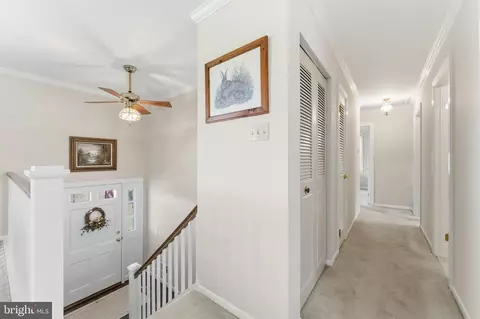 6163 Georgetown Rd, Broad Run, VA 20137 photo 26