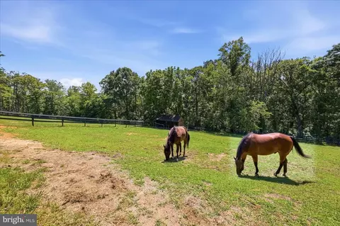 Other - 5221 Mountain View Dr, Broad Run, VA 20137 photo 3 of 48