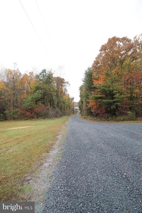 253 Will Johnson, Louisa, VA 23093 photo 24