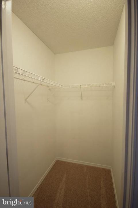253 Will Johnson, Louisa, VA 23093 photo 20