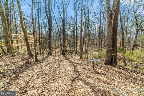 67 Ash Rd, Louisa, VA 23093 photo 42