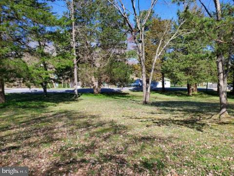 149 Beach Rd, Louisa, VA 23093 photo 21