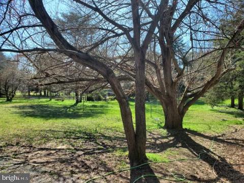 149 Beach Rd, Louisa, VA 23093 photo 18