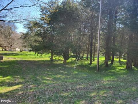 149 Beach Rd, Louisa, VA 23093 photo 19