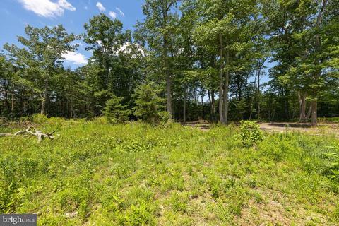 207 Willis Proffitt Rd, Mineral, VA 23117 photo 7