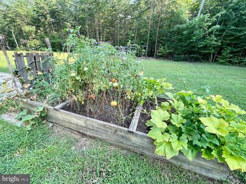 60 Nancy Ln, Louisa, VA 23093 photo 30