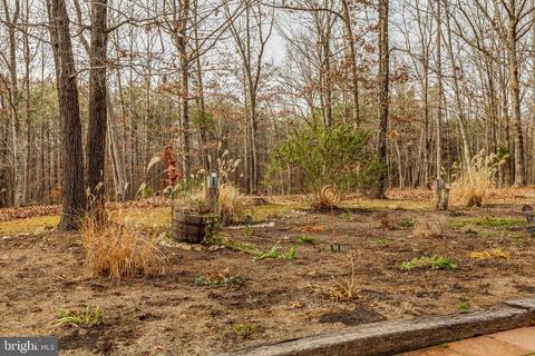 306 Patrick Henry Pl, Louisa, VA 23093 photo 51