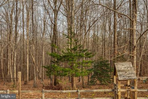 306 Patrick Henry Pl, Louisa, VA 23093 photo 49