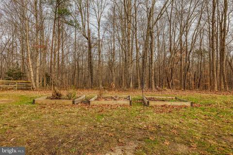 306 Patrick Henry Pl, Louisa, VA 23093 photo 47