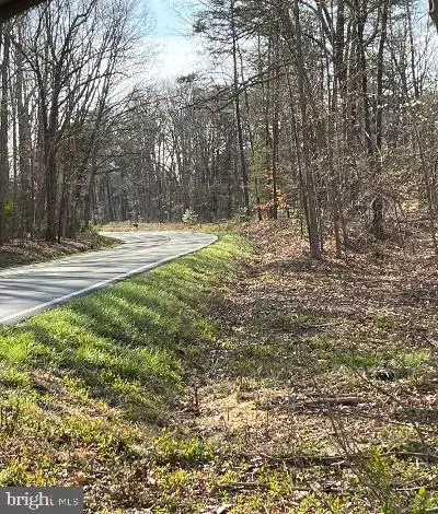Kentucky Springs Rd, Mineral, VA 23117