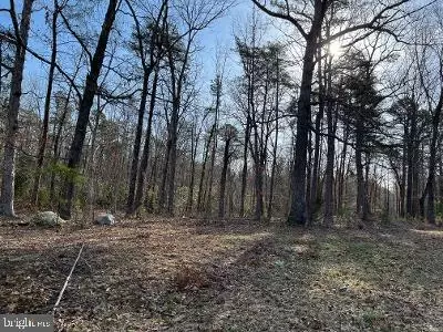 Kentucky Springs Rd, Mineral, VA 23117