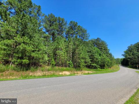 Fleeter Street, Mineral, VA 23117