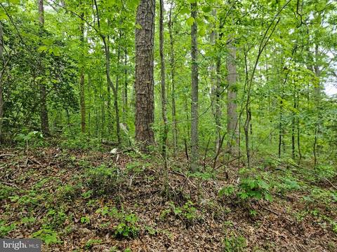 Harris Court, Mineral, VA 23117