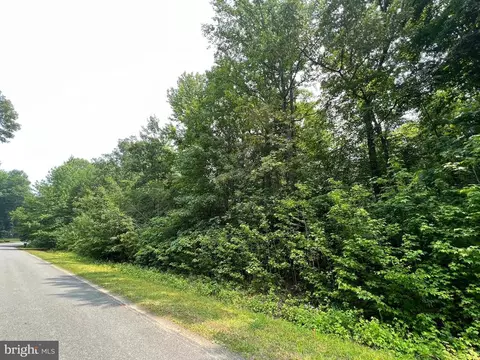 Cuckoo's Nest Dr, Bumpass, VA 23024 photo 5