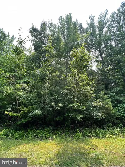 Cuckoo's Nest Dr, Bumpass, VA 23024 photo 4