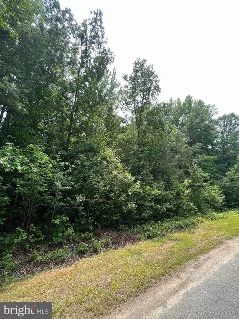 Cuckoo's Nest Dr, Bumpass, VA 23024 photo 3