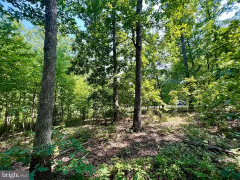 Flint Pl, Louisa, VA 23093 photo 30