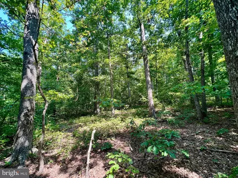 Flint Pl, Louisa, VA 23093 photo 31