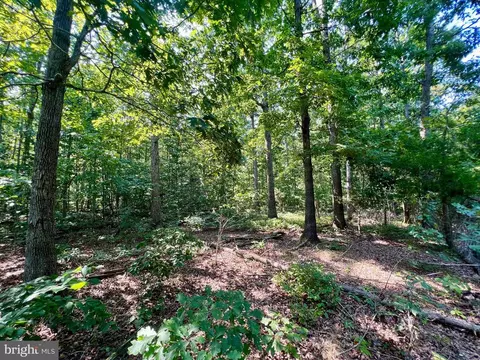 Flint Pl, Louisa, VA 23093 photo 32