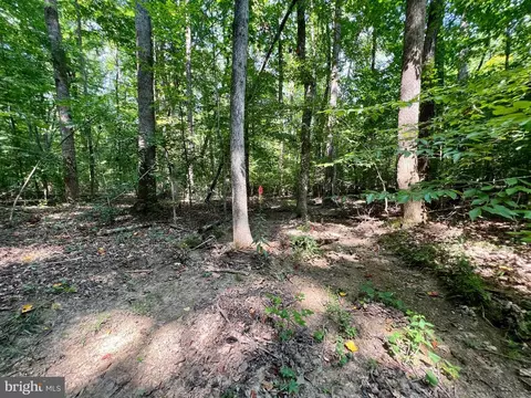 Flint Pl, Louisa, VA 23093 photo 29