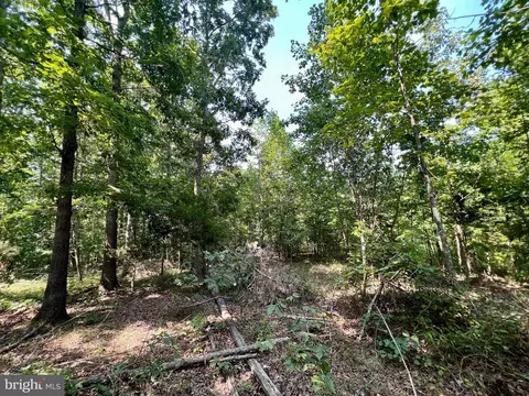 Flint Pl, Louisa, VA 23093 photo 33