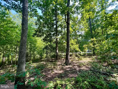 Flint Pl, Louisa, VA 23093 photo 30