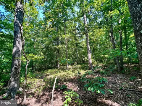 Flint Pl, Louisa, VA 23093 photo 31