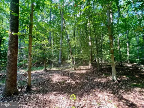 Flint Pl, Louisa, VA 23093 photo 27