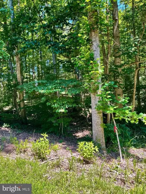 N Blue Ridge Dr, Louisa, VA 23093