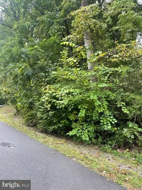 N Lakeshore Dr., Louisa, VA 23093