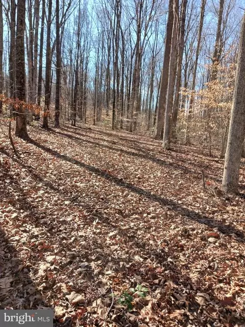 Lake Forest Dr. Dr, Louisa, VA 23093
