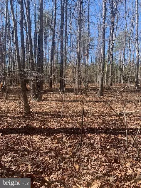 Pinehurst Dr, Gordonsville, VA 22942