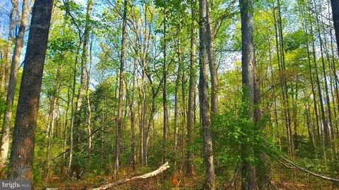 Poplar Dr, Louisa, VA 23093