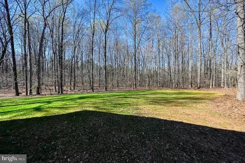 38 Covenant Ct, Bumpass, VA 23024 photo 48