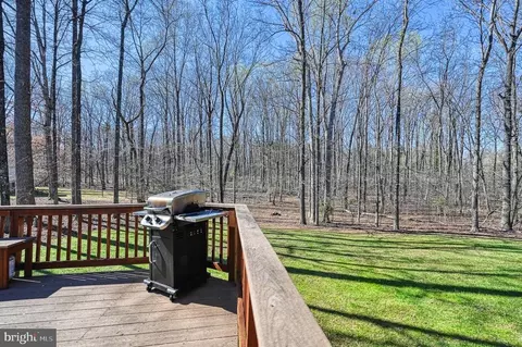 38 Covenant Ct, Bumpass, VA 23024 photo 47