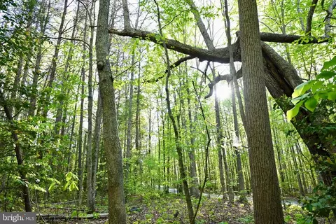 Apple Grove Rd, Mineral, VA 23117