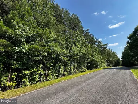 Point Dr, Bumpass, VA 23024 photo 9